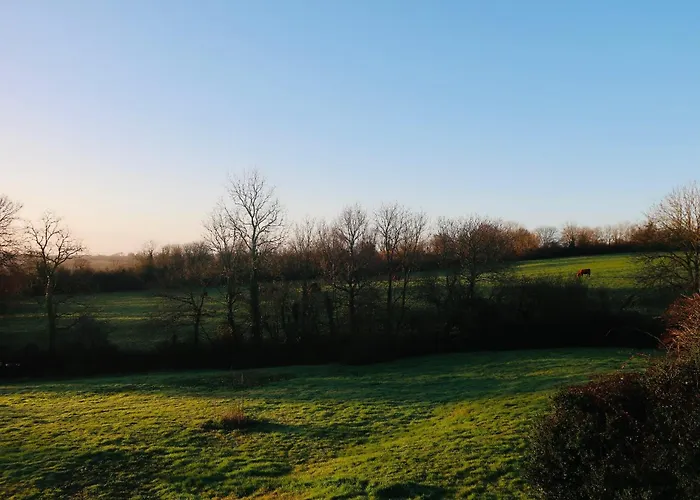 Couette-café Utah Du Domaine De Saint-vigor 4*