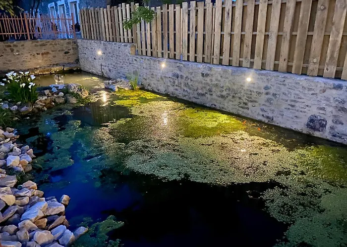 Utah Du Domaine De Saint-vigor Saint-Pellerin